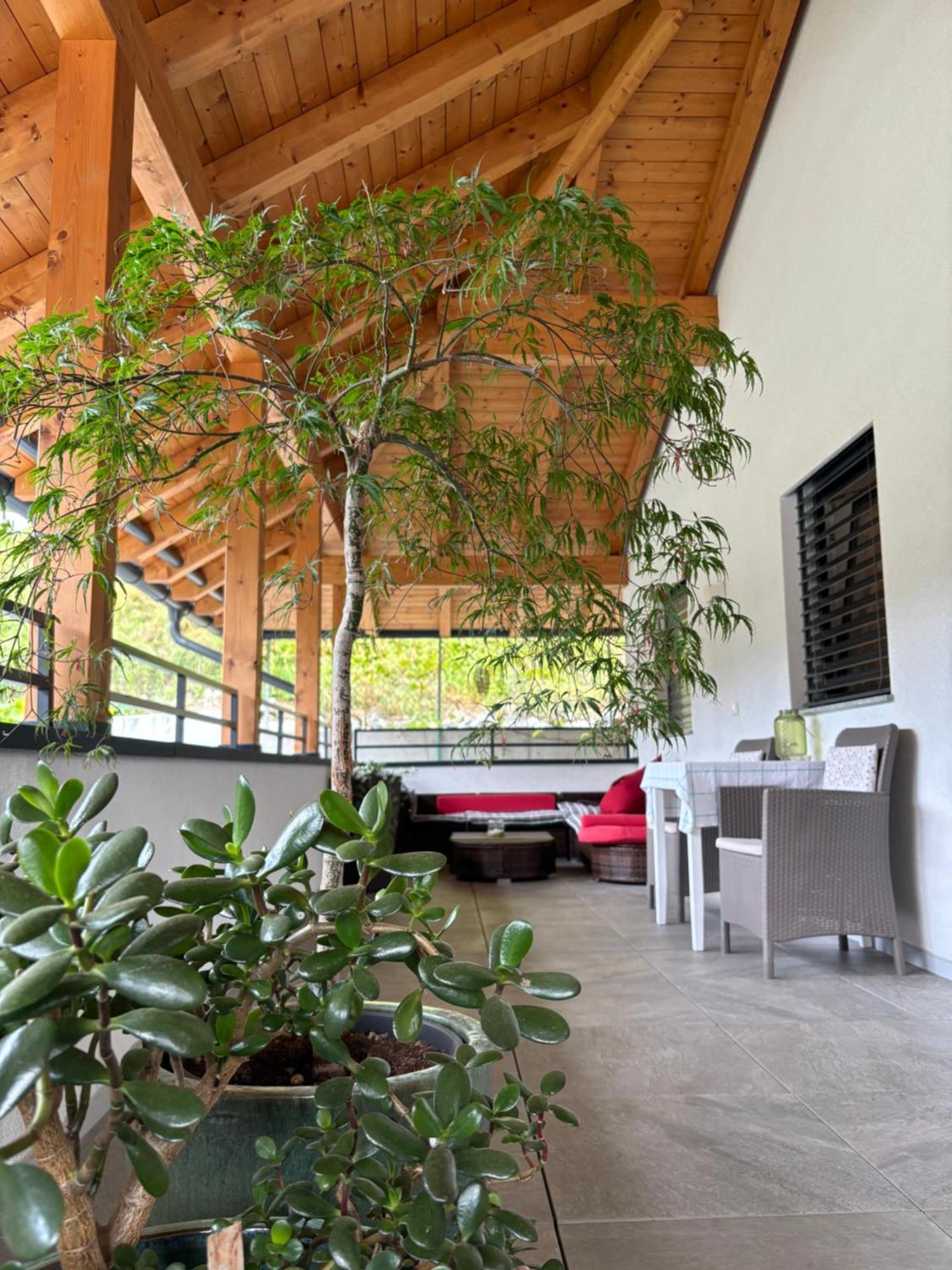 Apartment Zimat Chienes Exterior foto